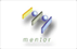 Mentor Cash Software