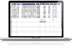 Spreadsheet Export